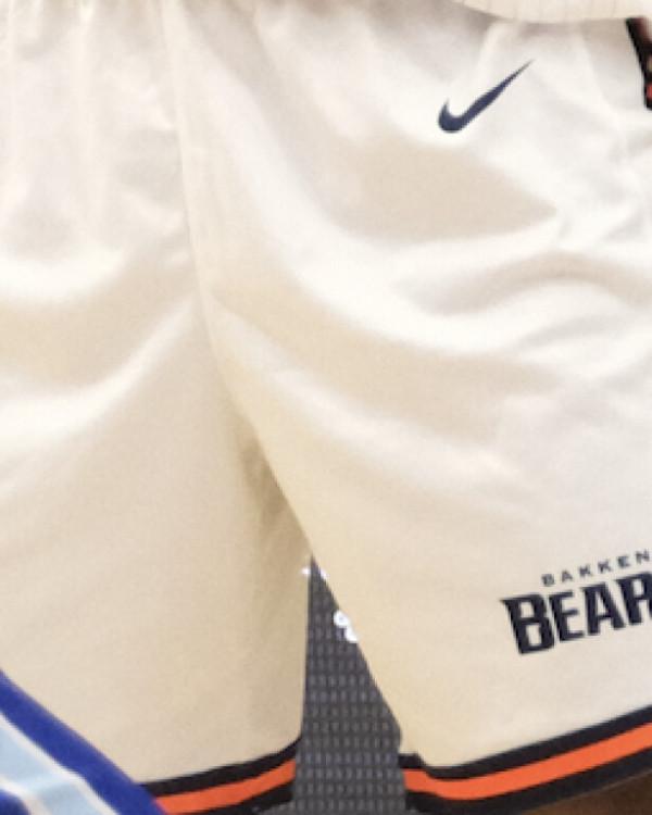 Nike Away Shorts 25/26